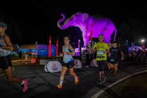 BIB: 
                            <button type="button" onclick="openModal(26552133)" class="btn btn-primary btn-sm float-right btn-popup" data-toggle="modal" data-target=".modal-high-quality">
                        <i class="fas fa-shopping-cart"></i> Add to Cart
                    </button>
                                            <button type="button" onclick="isThisMe(26552133, true)" class="btn btn-success btn-sm float-right btn-popup btn-isme hidden" data-toggle="tooltip" data-placement="bottom" title="นี่คือรูปของคุณใช่ไหม คลิกที่นี่เพื่อเอาเข้าอัลบั้ม">
                        <i class="fas fa-plus"></i> Add to album
                    </button>
                    <button type="button" onclick="isThisMe(26552133, false)" class="btn btn-warning btn-sm float-right btn-popup btn-isnotme hidden">
                        <i class="fas fa-ban"></i> Remove from album
                    </button>